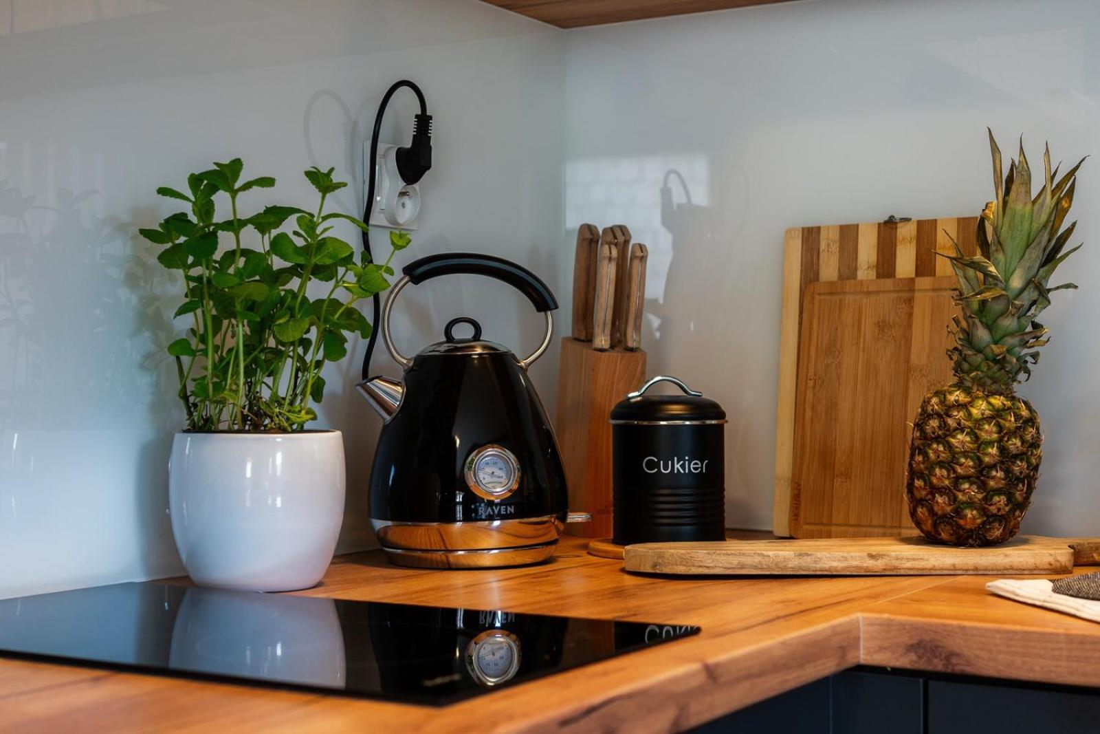 Apartamenty Rezydencja Karpielówka Kościelisko Quarto foto
